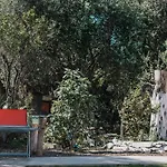 Village House In An Olive Grove!