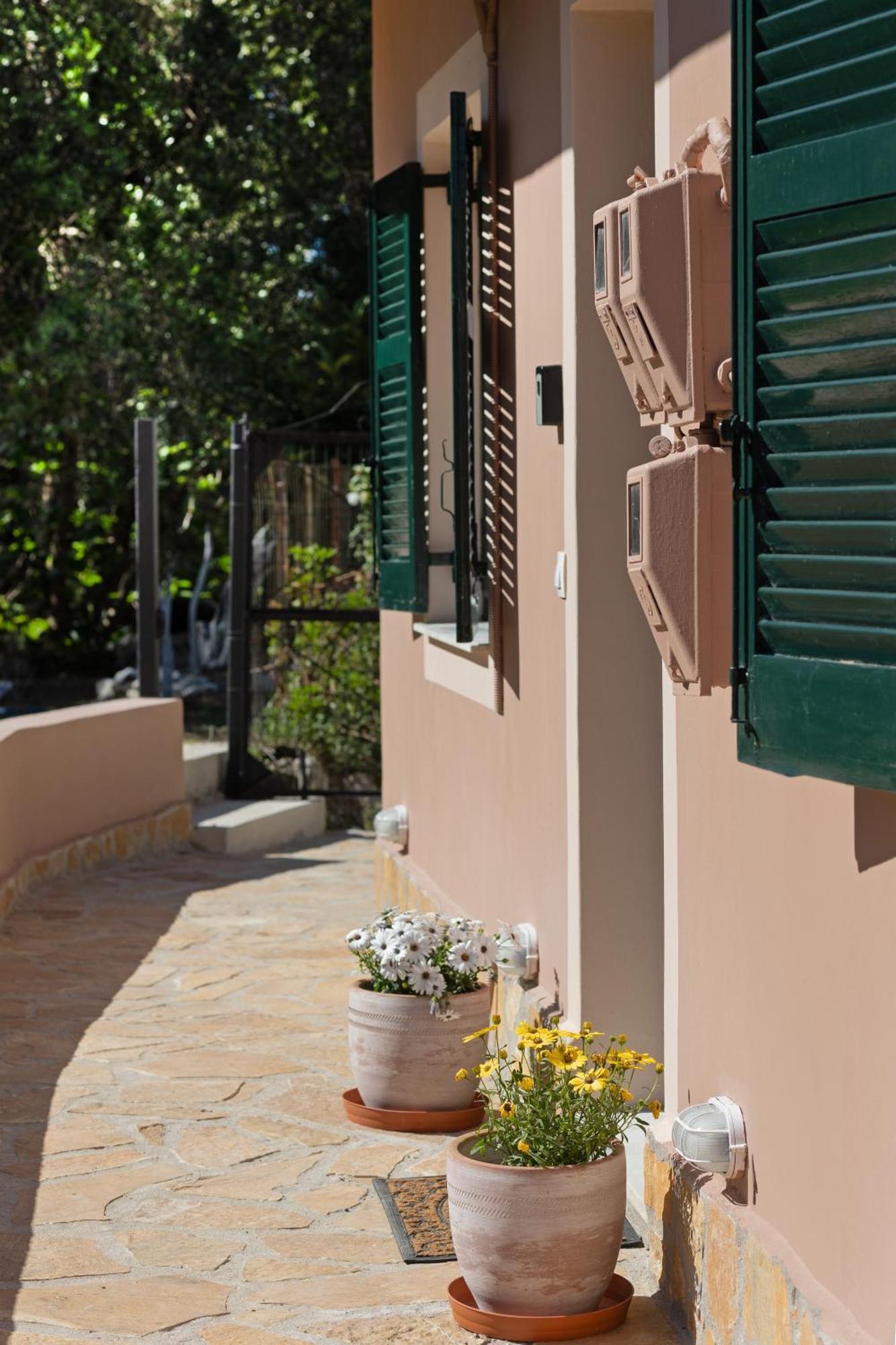 In An Olive Grove! * Corfu (city)